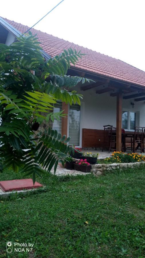 Nektar Park Villa Sara Bihać Εξωτερικό φωτογραφία