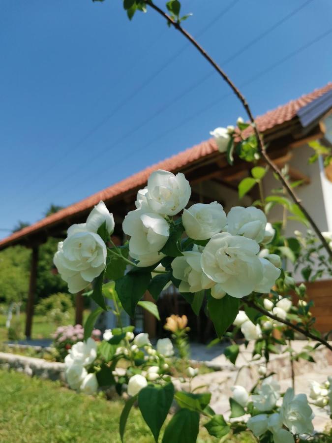 Nektar Park Villa Sara Bihać Εξωτερικό φωτογραφία