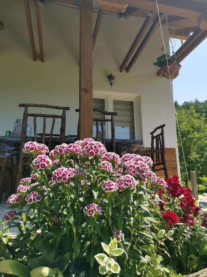 Nektar Park Villa Sara Bihać Εξωτερικό φωτογραφία