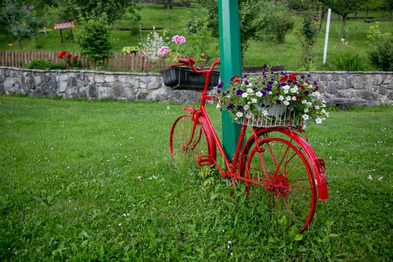 Nektar Park Villa Sara Bihać Εξωτερικό φωτογραφία