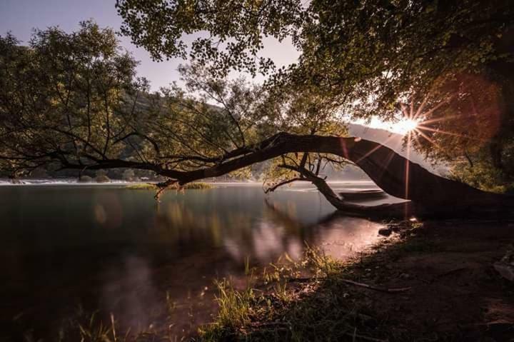 Nektar Park Villa Sara Bihać Εξωτερικό φωτογραφία