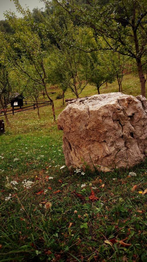 Nektar Park Villa Sara Bihać Εξωτερικό φωτογραφία